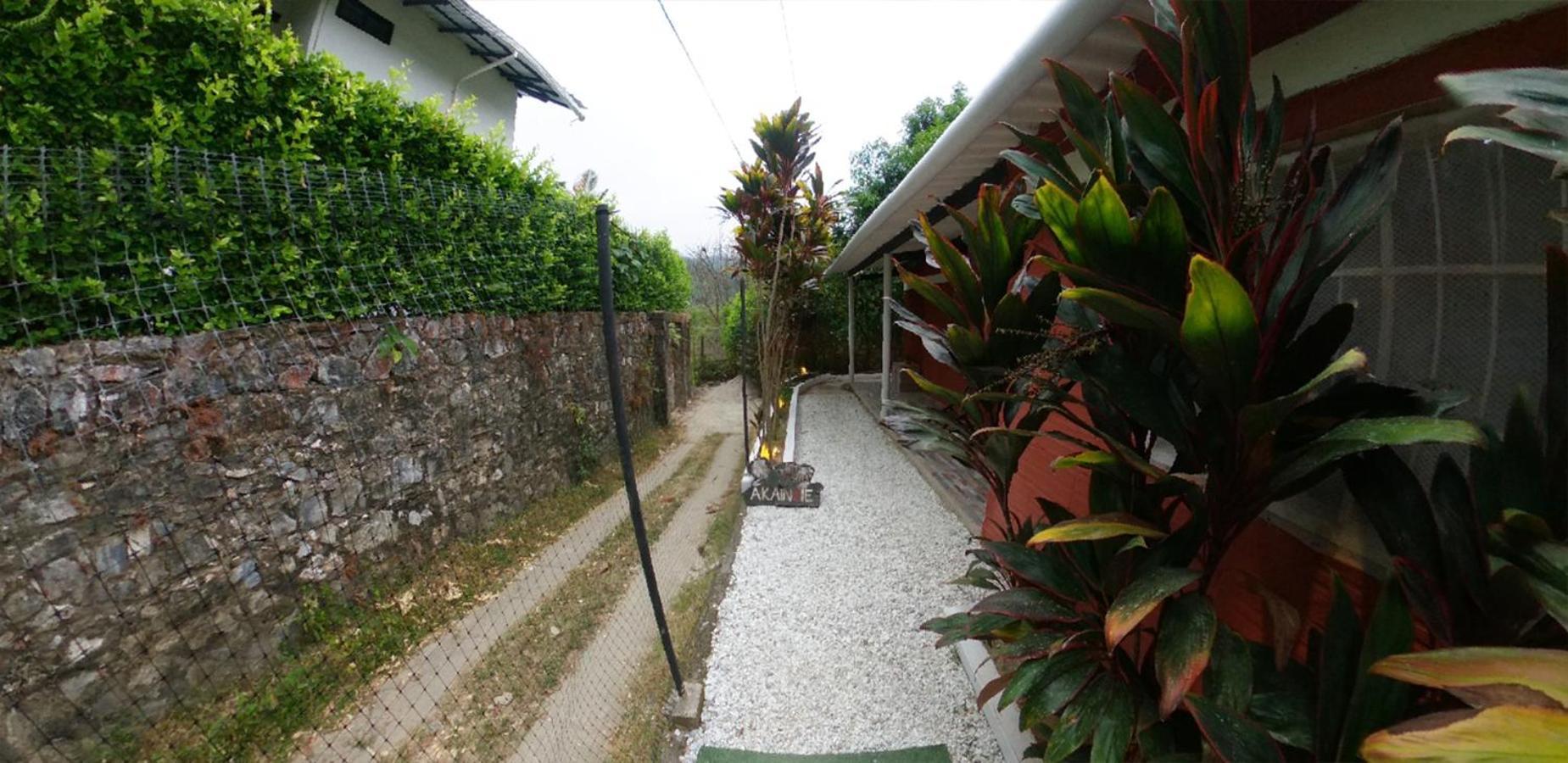 Akainoie Hotel Minca Buitenkant foto