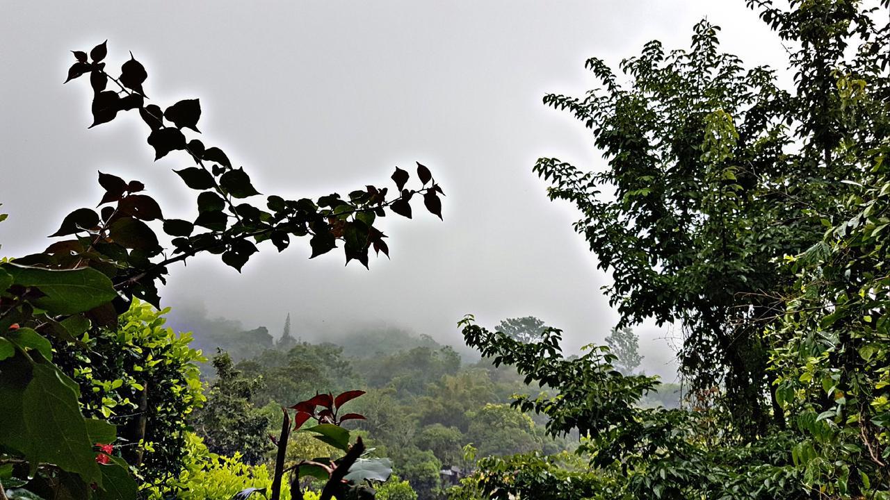 Akainoie Hotel Minca Buitenkant foto